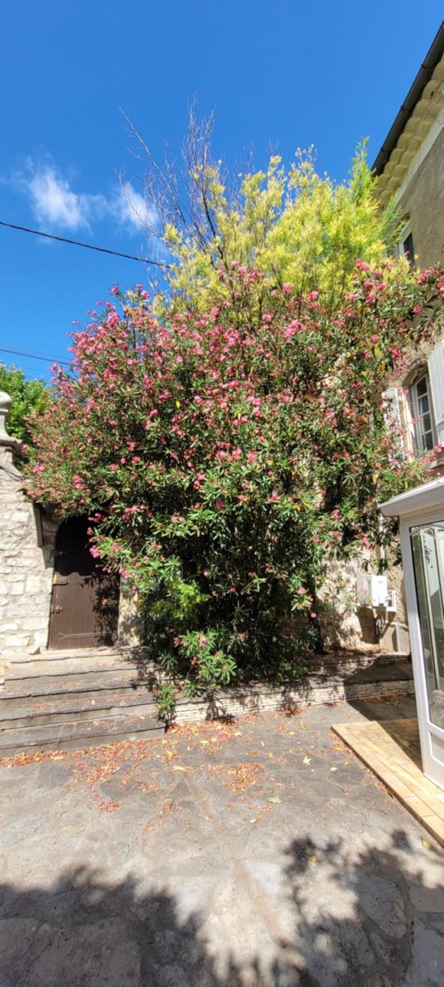 Le Domaine Du Soulier -Gite Et Chambres D'Hotes - La Maison Du Gardien Tornac Exterior foto